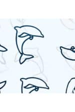 Dolphin Drift - Image 4