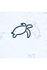 Caretta - Image 3